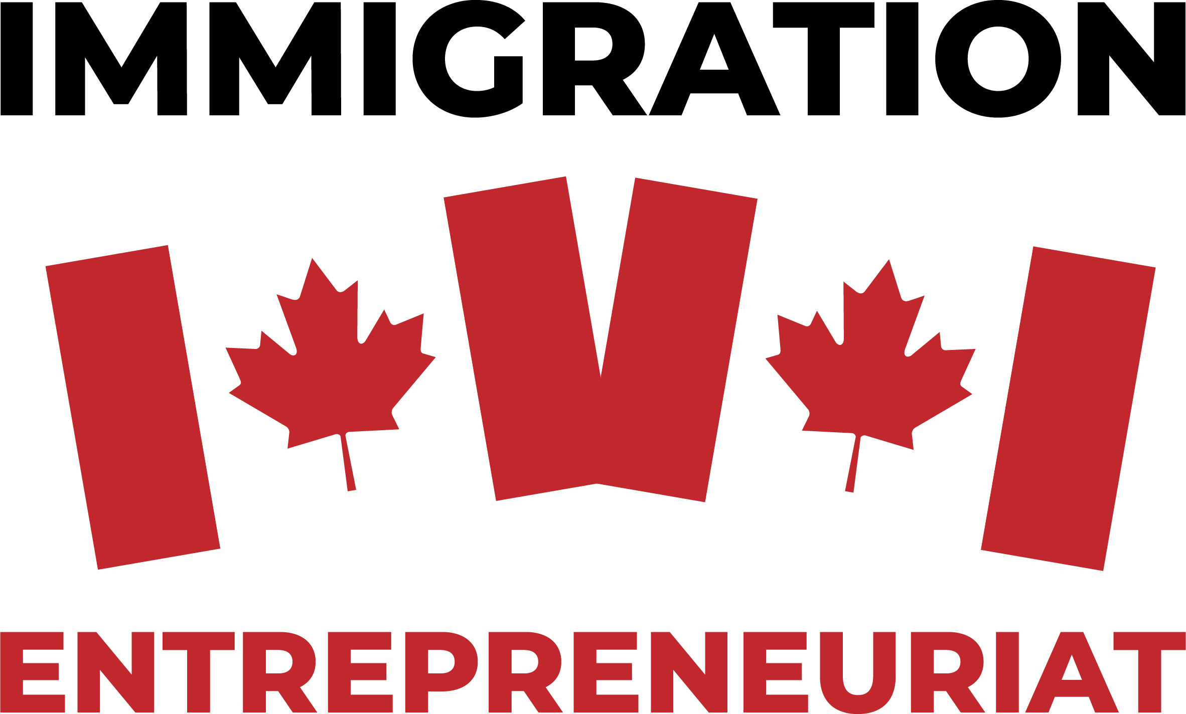 Immigration Entrepreneuriat